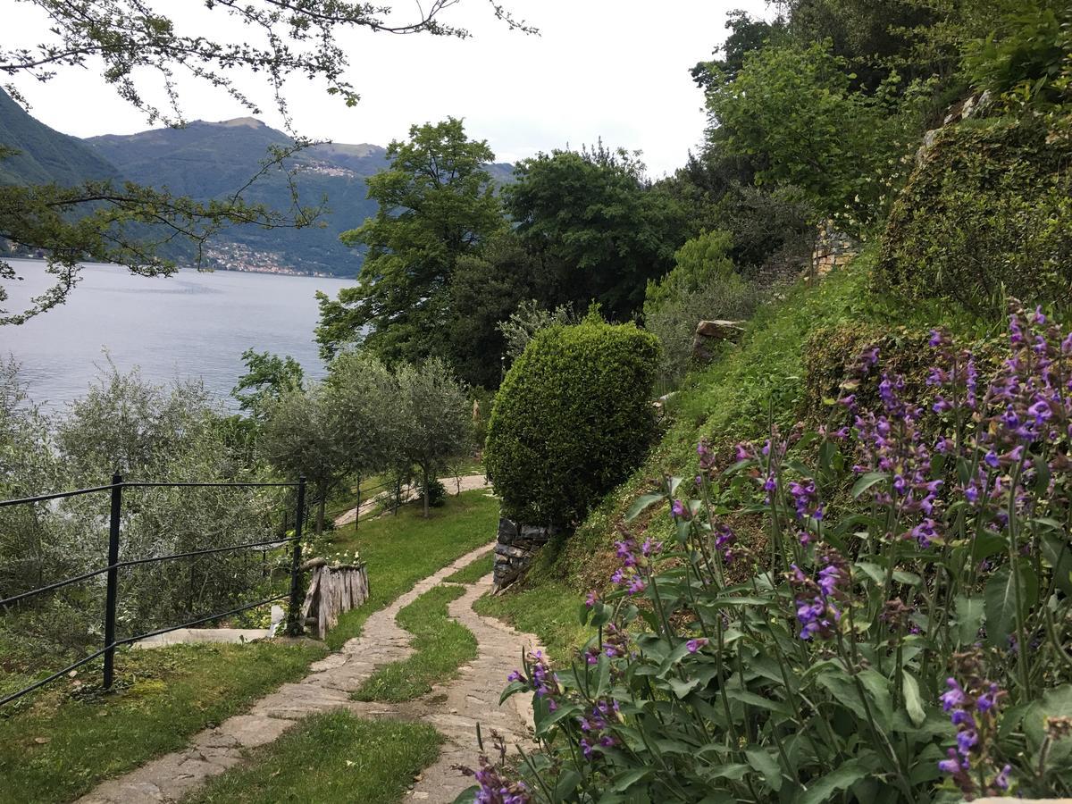 Castagna Holiday Home Nesso Exterior photo